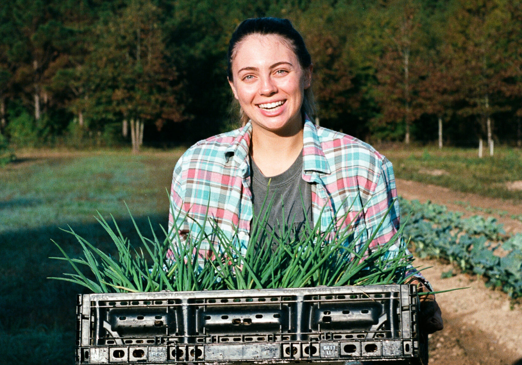 Neely standing in the fields with a large crate of spring onions.